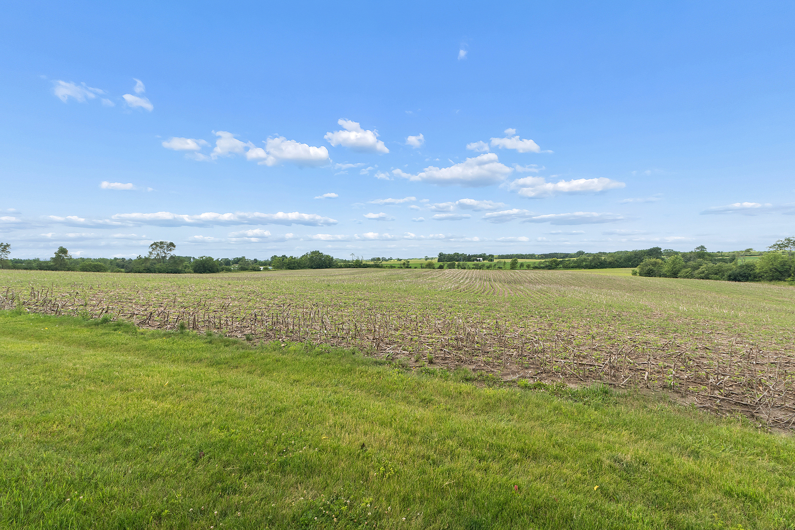 27412 South Kuersten Road Monee, IL 60449 - Photo 31 of 51