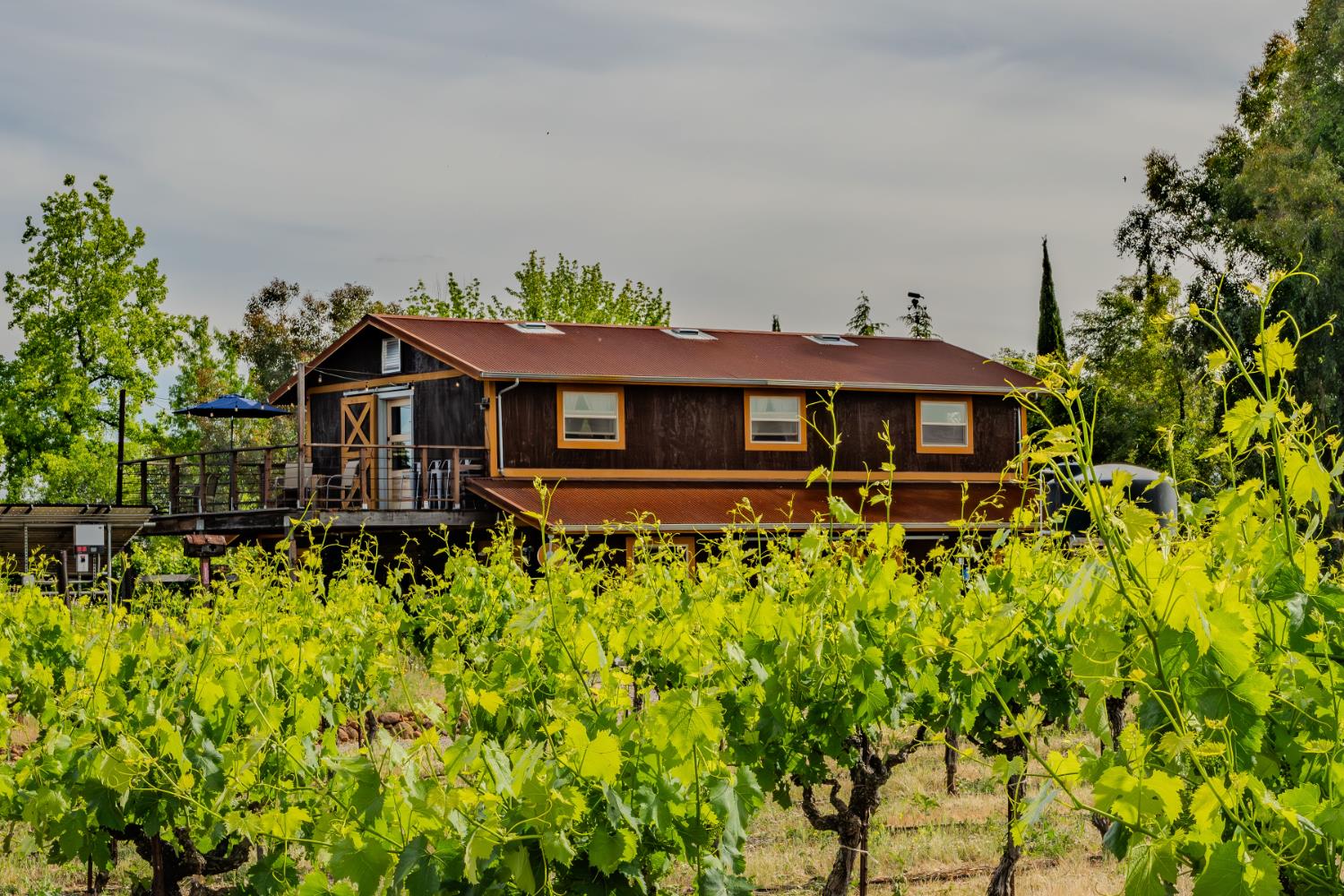 11321 New York Ranch Road Jackson, CA 95642 - Photo 46 of 73