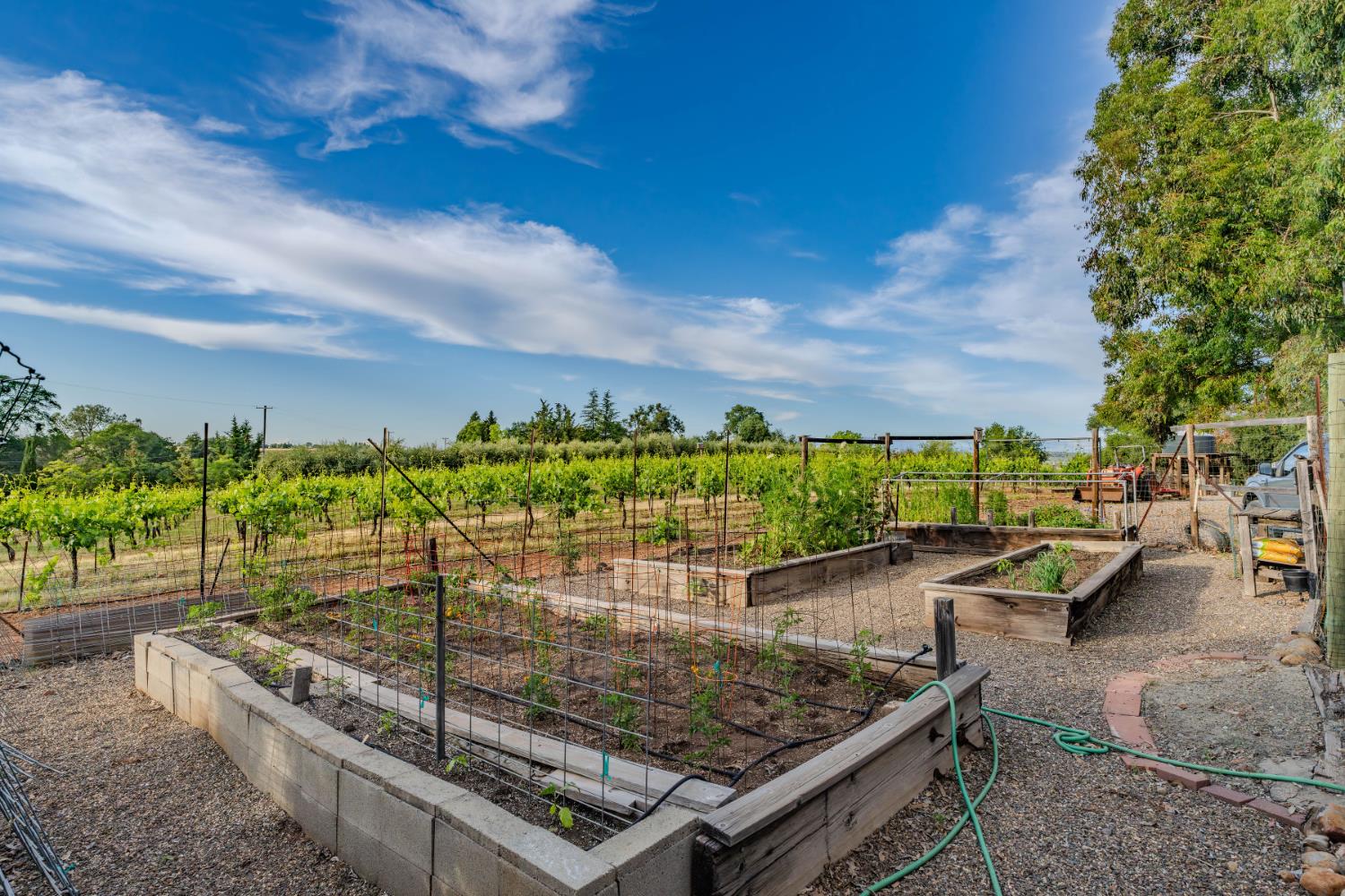 11321 New York Ranch Road Jackson, CA 95642 - Photo 64 of 73