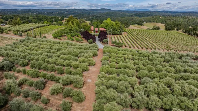 $1,900,000 | 11321 New York Ranch Road, Jackson, CA 95642