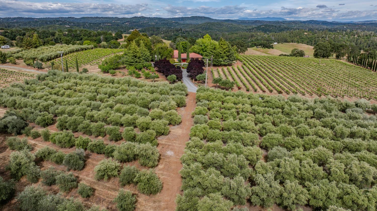 11321 New York Ranch Road Jackson, CA 95642 - Photo 66 of 73