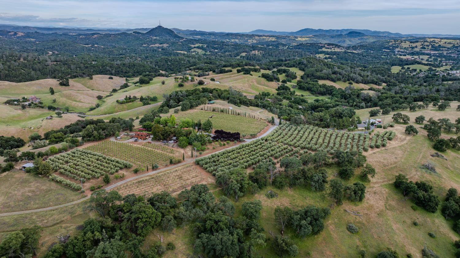 11321 New York Ranch Road Jackson, CA 95642 - Photo 68 of 73 an aerial view of a forest