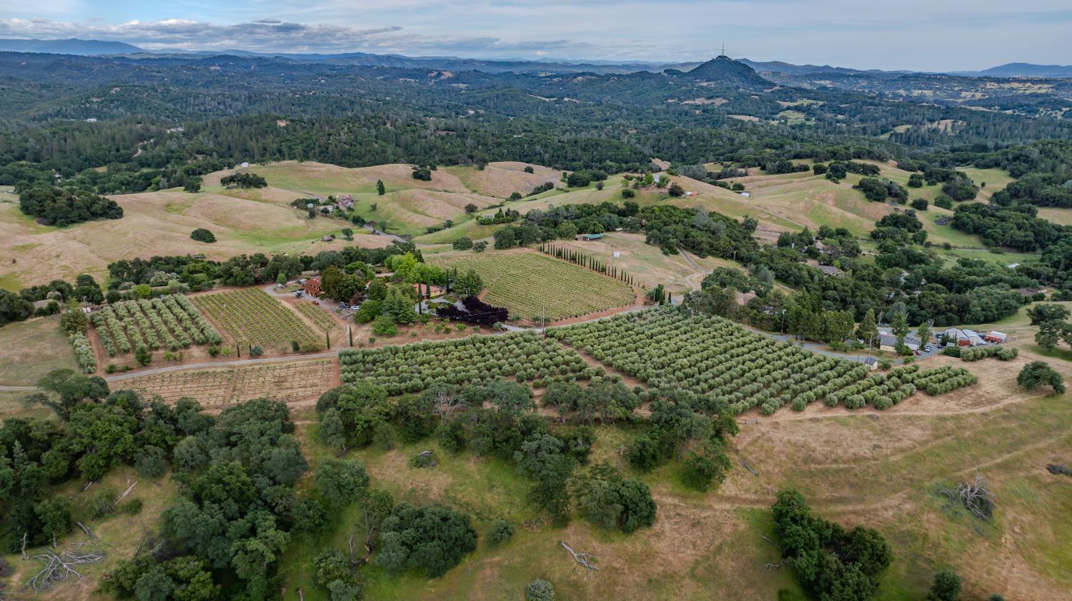 11321 New York Ranch Road Jackson, CA 95642 - Photo 69 of 73 an aerial view of residential house with outdoor space
