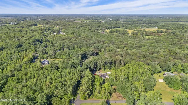 a view of a city with lush green forest