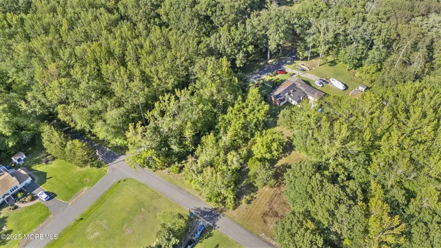 a bird view of under tree