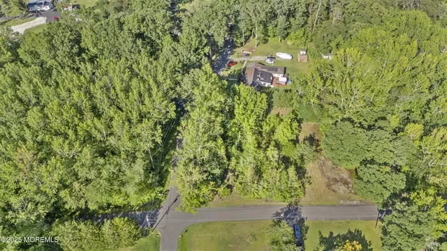 a view of a yard with plants