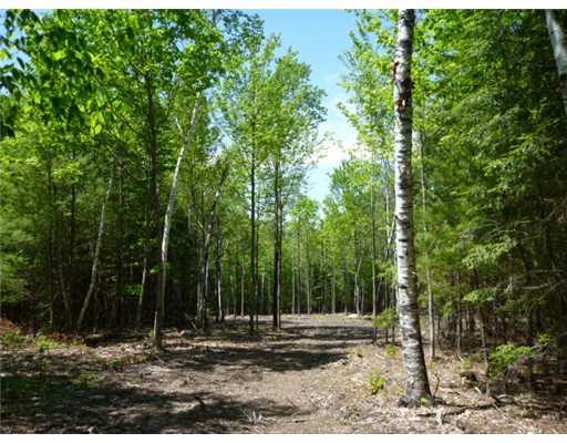 Lot 4 Dugway Road Brownfield, ME 04010 - Photo 3 of 7 Land/Lot.