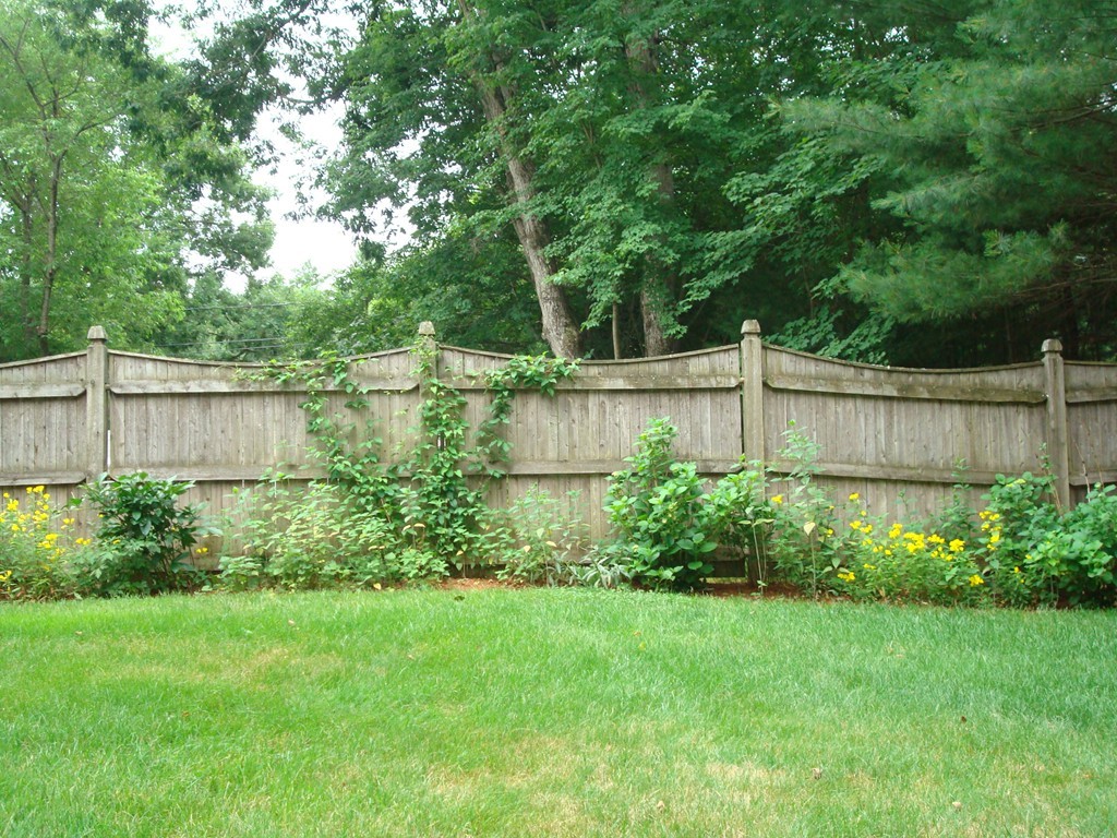 27 Ledge Road Chelmsford, MA 01863 - Photo 28 of 30 a view of a garden