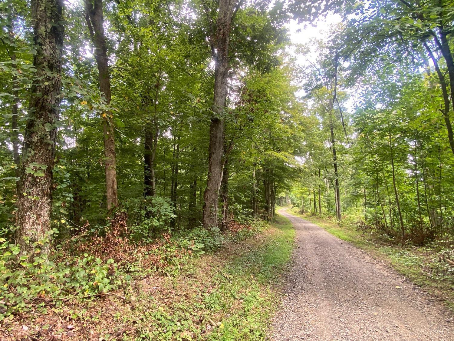 4345 Mt Unger Road Otway, OH 45657 - Photo 6 of 9