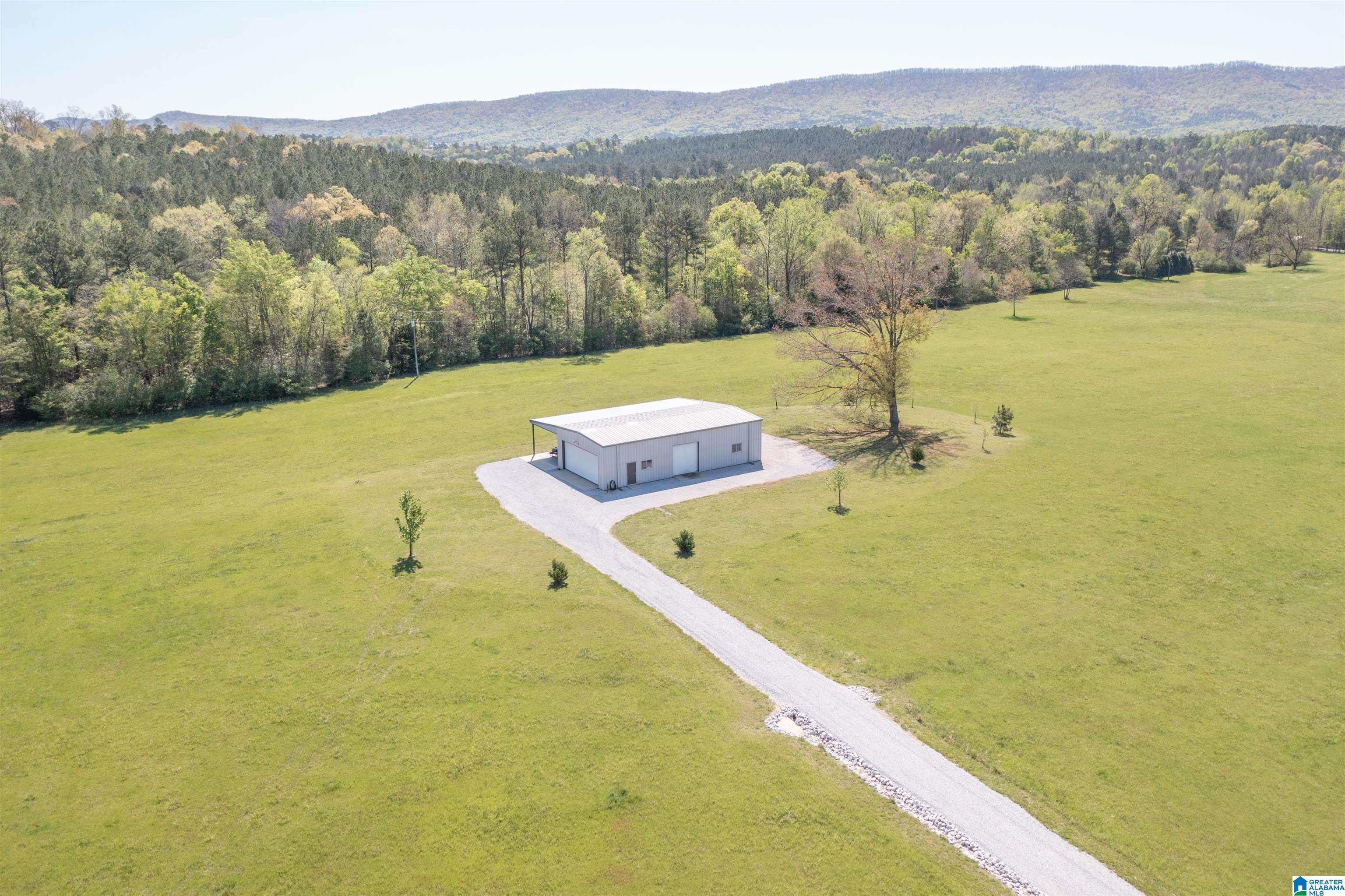2741 Possum Trot Road Piedmont, AL 36272 - Photo 52 of 62