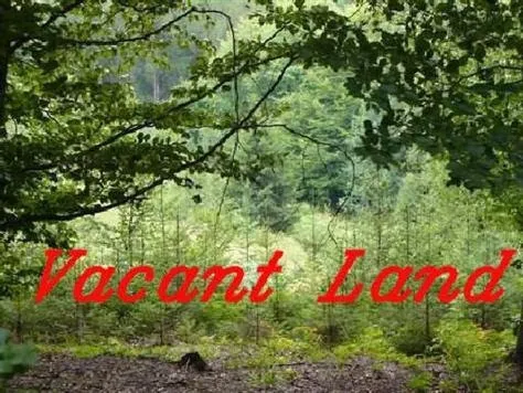 a view of a yard and front front of palm trees