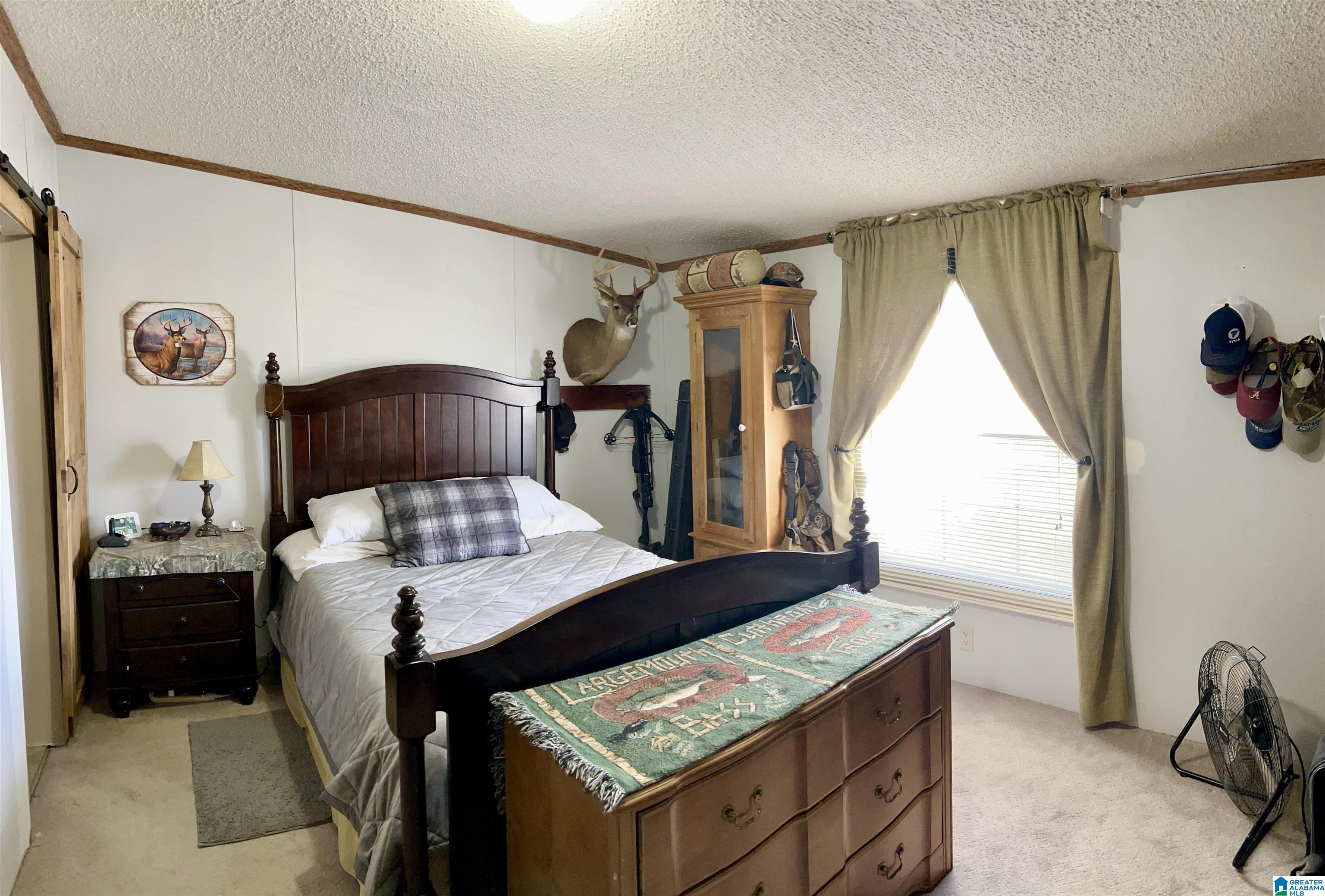 11004 Tabor Road Collinsville, AL 35961 - Photo 10 of 19
