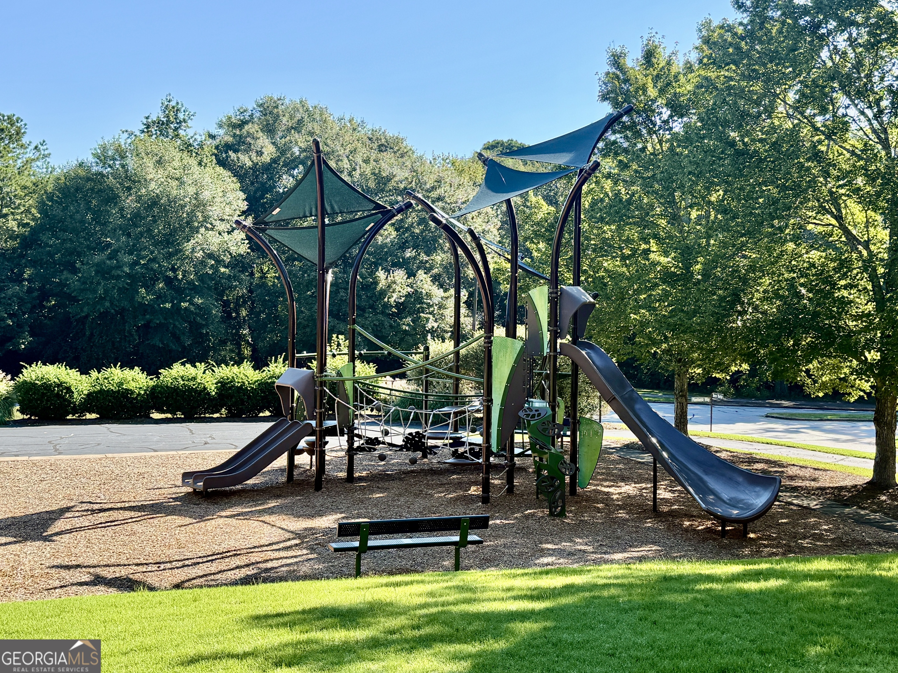 244 Terrane Ridge Peachtree City, GA 30269 - Photo 41 of 44 a view of a park with slide
