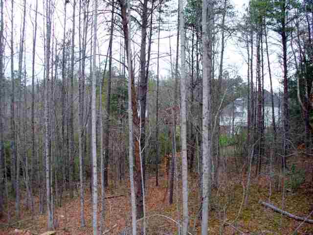 1012 Old Seneca Road Central, SC 29630 - Photo 5 of 5