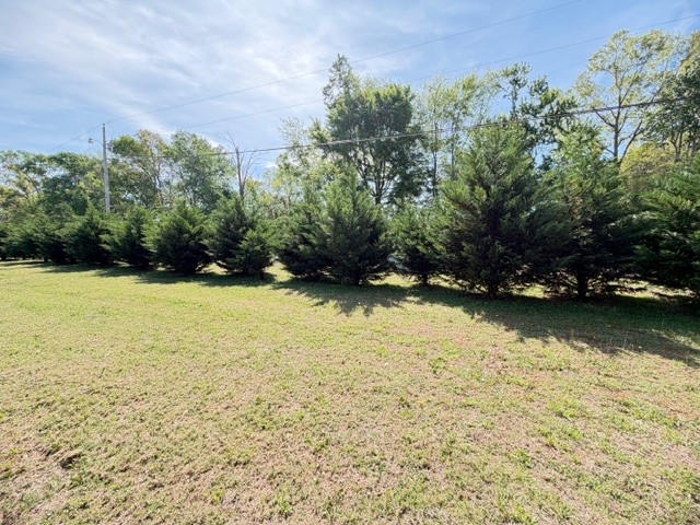 118 Herrin Road Morrison, TN 37357 - Photo 22 of 39