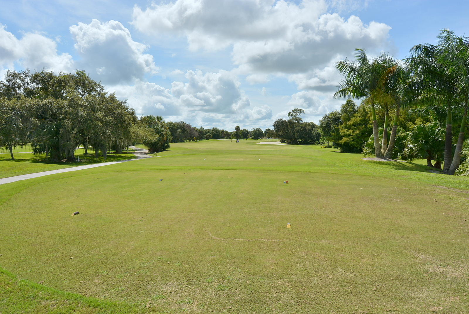 1038 Southwest Balmoral Trace Stuart, FL 34997 - Photo 51 of 58 Golf Course
