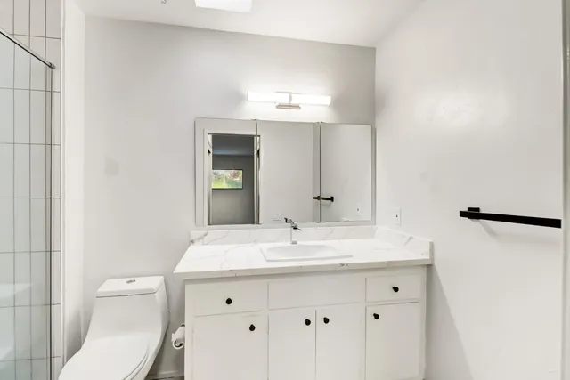 a bathroom with a sink toilet and mirror