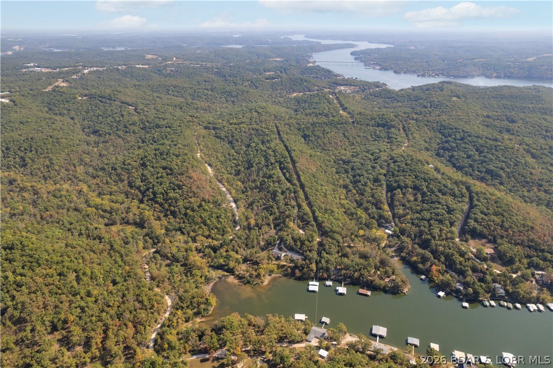 5-acres Pirates Pirates Cove Road Camdenton, MO 65020 - Photo 3 of 30