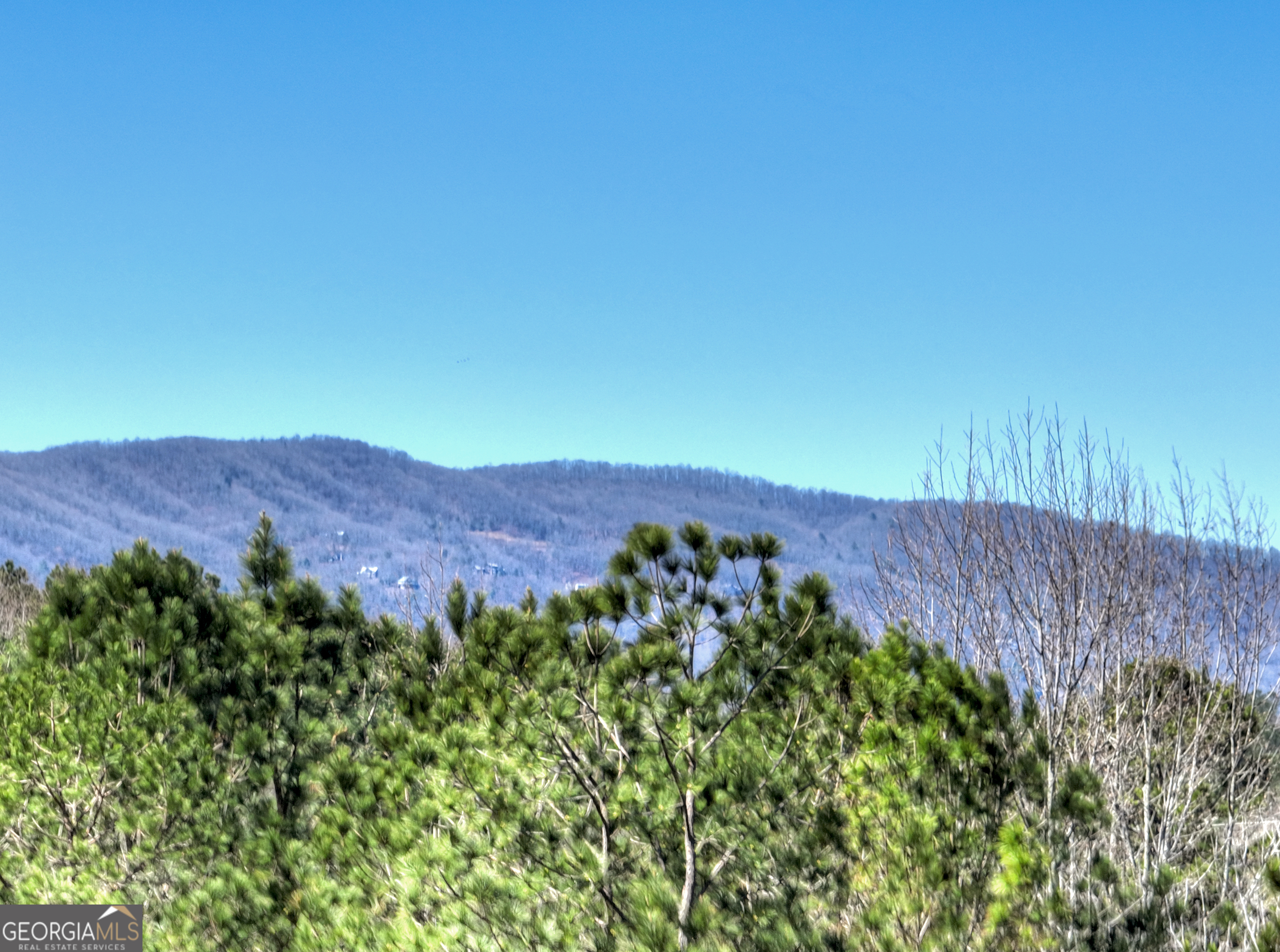 229 Crossroads Church Road Ellijay, GA 30540 - Photo 11 of 83