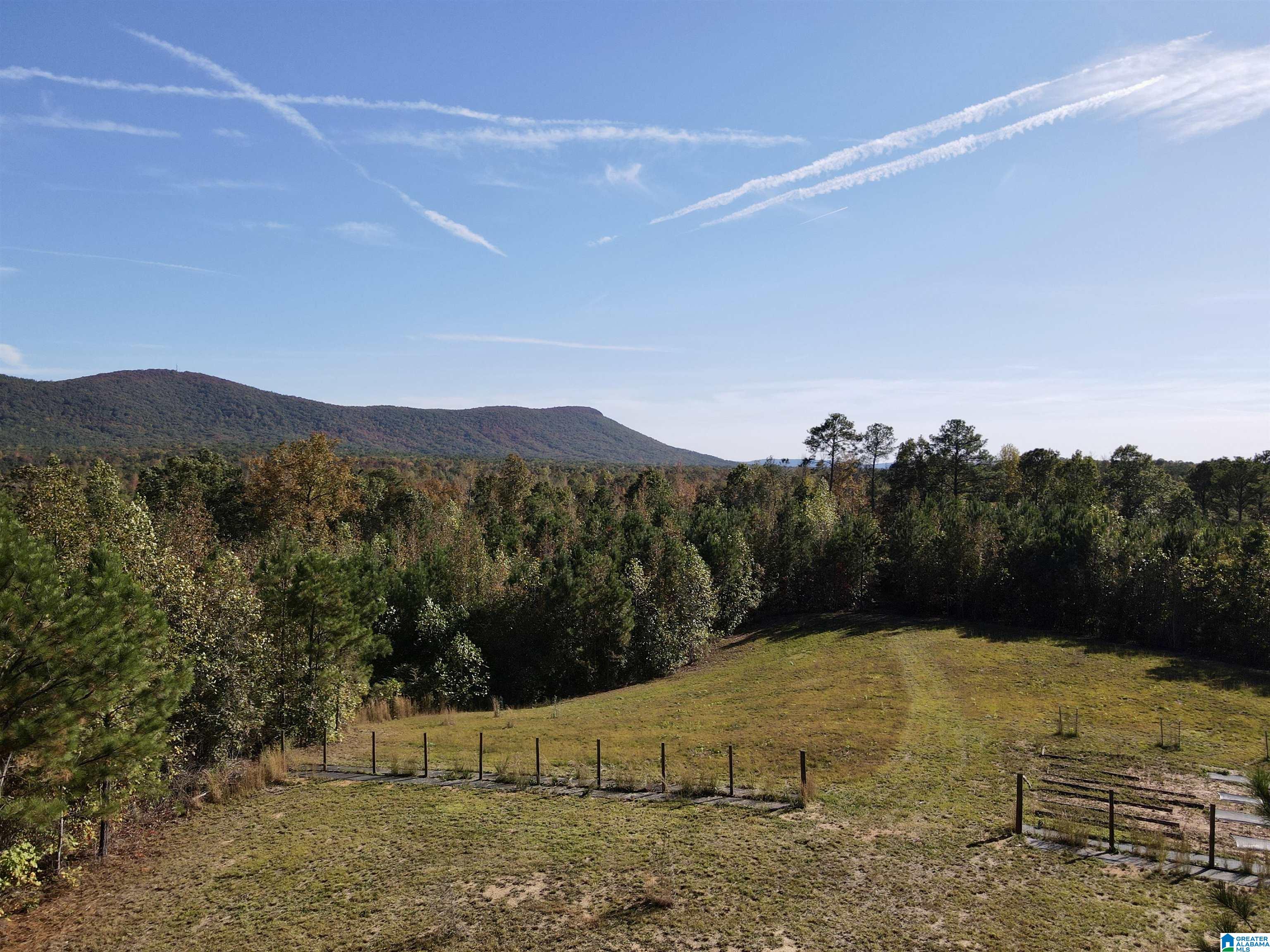 7070 Rendalia Motorway Talladega, AL 35160 - Photo 3 of 28