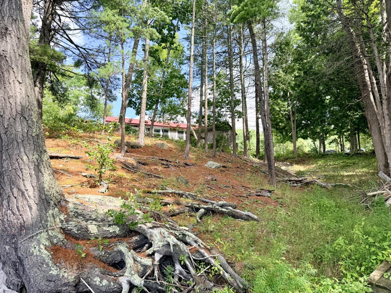 539 Castine Road Orland, ME 04472 - Photo 13 of 61 IMG_5176 2 Large