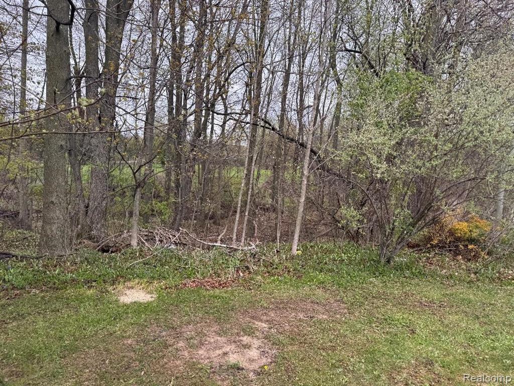 687 West Saginaw Road Mayville, MI 48744 - Photo 10 of 12