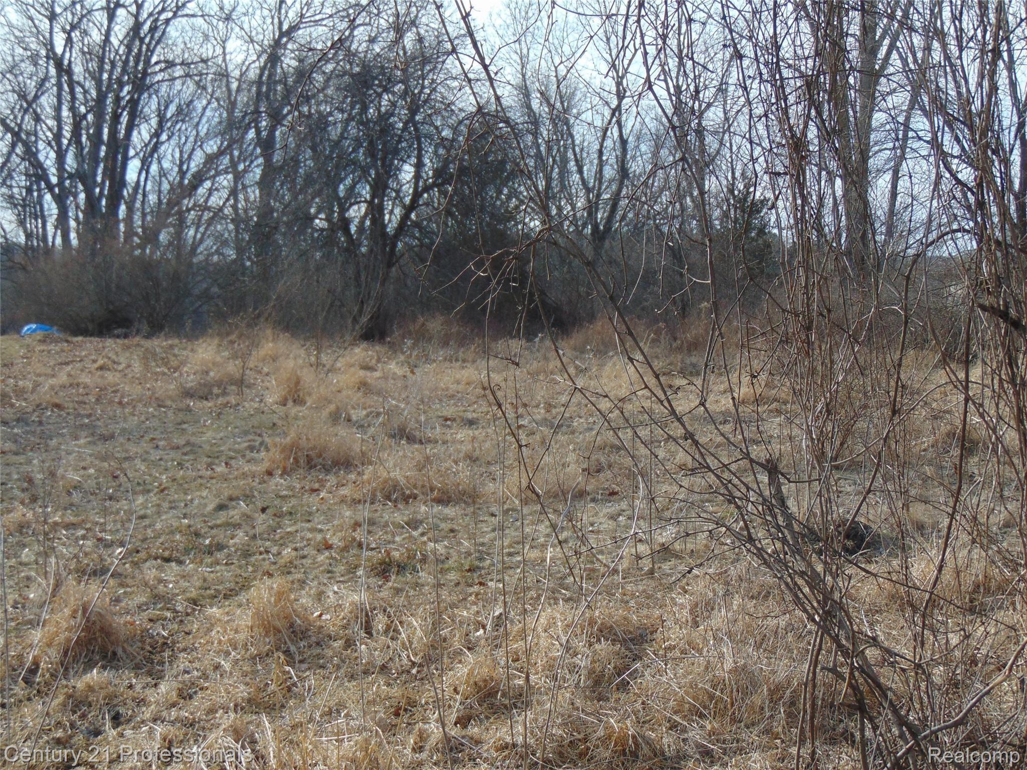 0 Taylor Lake Road Holly, MI 48442 - Photo 6 of 10 View of the Lot from the Road... Lake on the other side of the Brush & Trees.....