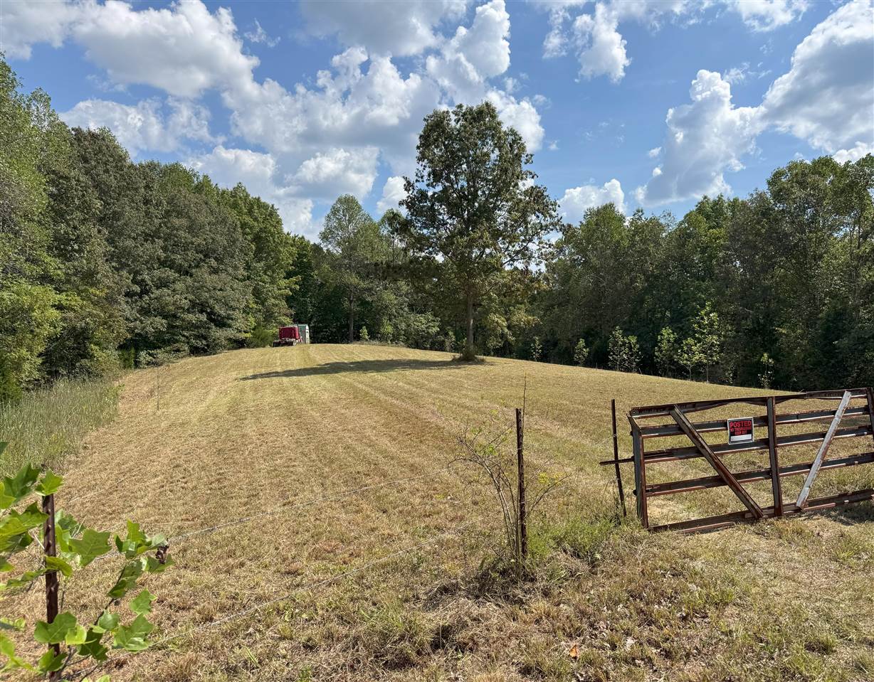 136 Snowbird Lane Bee Spring, KY 42207 - Photo 8 of 8 Gallery Image 8