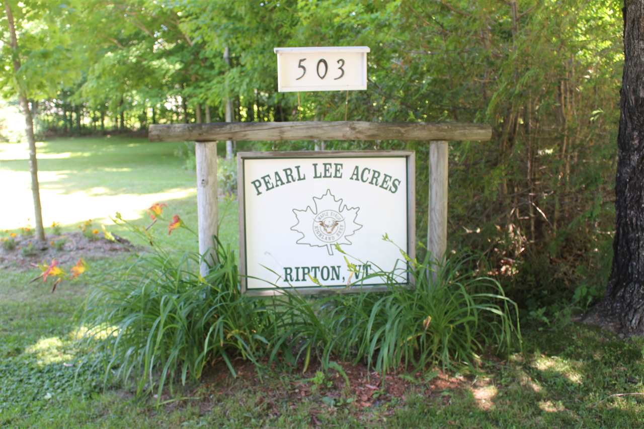 503 Pearl Lee Road Ripton, VT 05766 - Photo 29 of 40