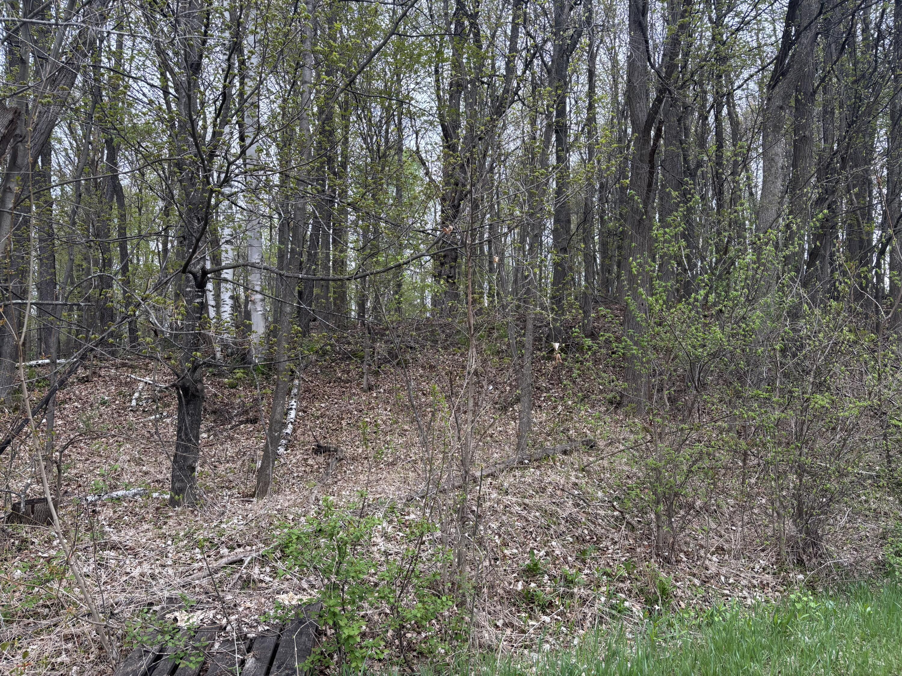 0 Ram Road Morrisonville, NY 12962 - Photo 2 of 3 IMG-0070