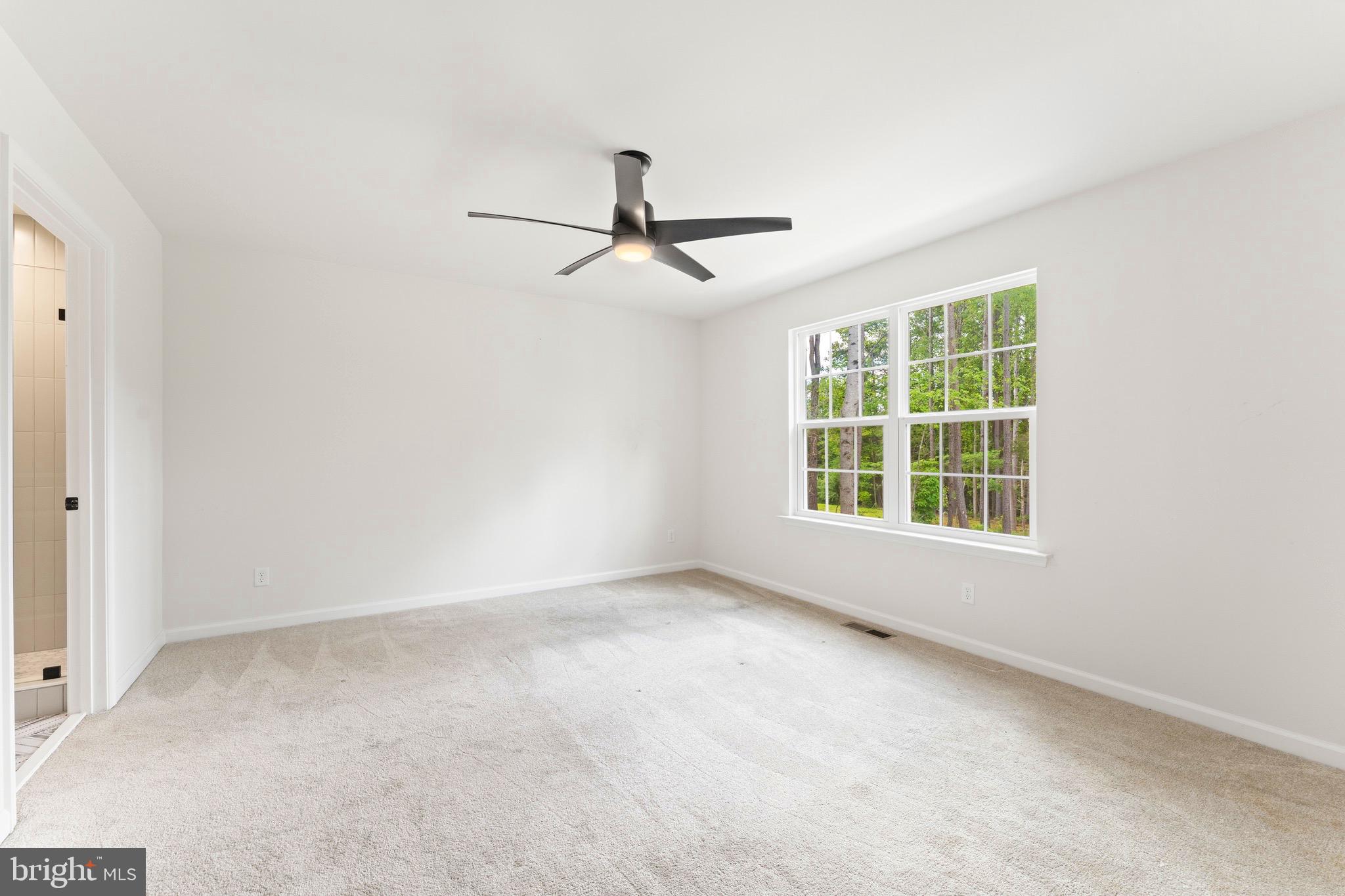 928 Days Bridge Road Mineral, VA 23117 - Photo 20 of 51 Gallery Image 20