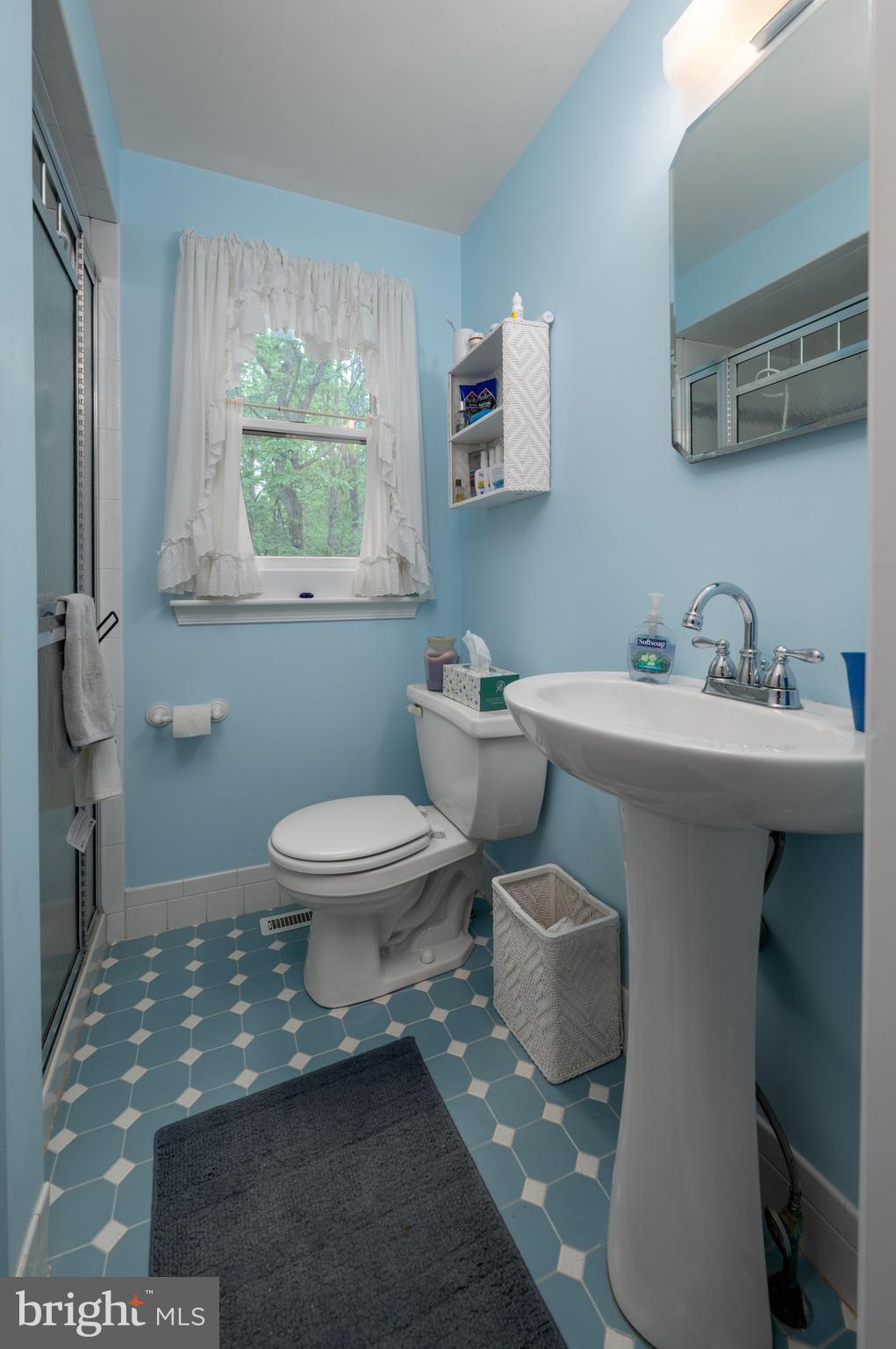 2 Wicklow Drive Tabernacle, NJ 08088 - Photo 15 of 21 a bathroom with a sink toilet and a window