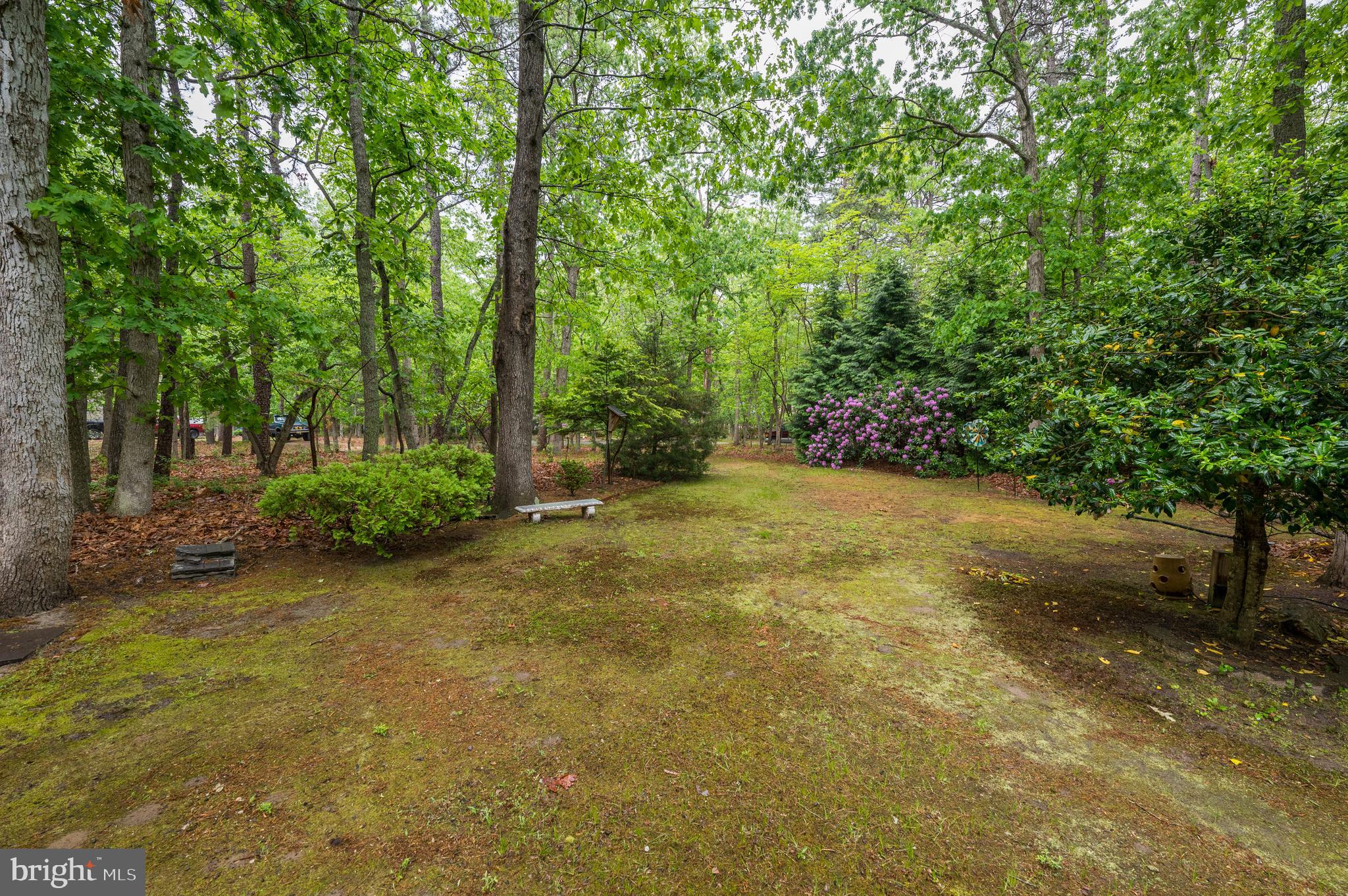 2 Wicklow Drive Tabernacle, NJ 08088 - Photo 21 of 21 a view of a yard with plants and large trees