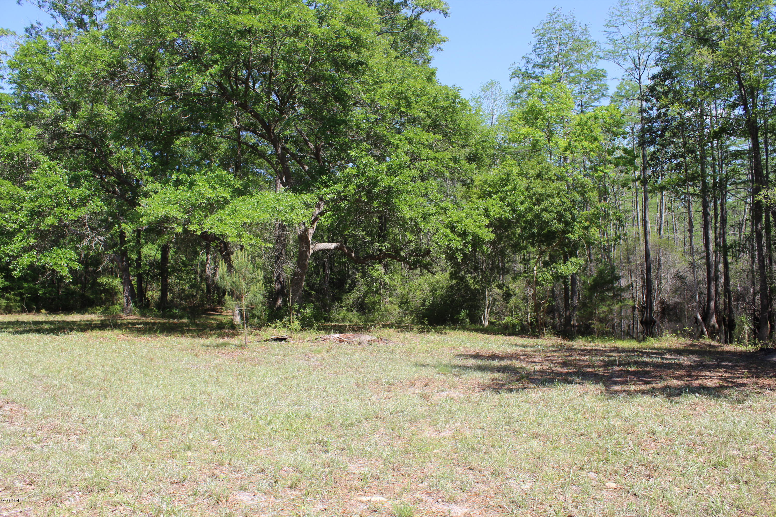 3215 Boles Road Vernon, FL 32462 - Photo 15 of 15 Gallery Image 15
