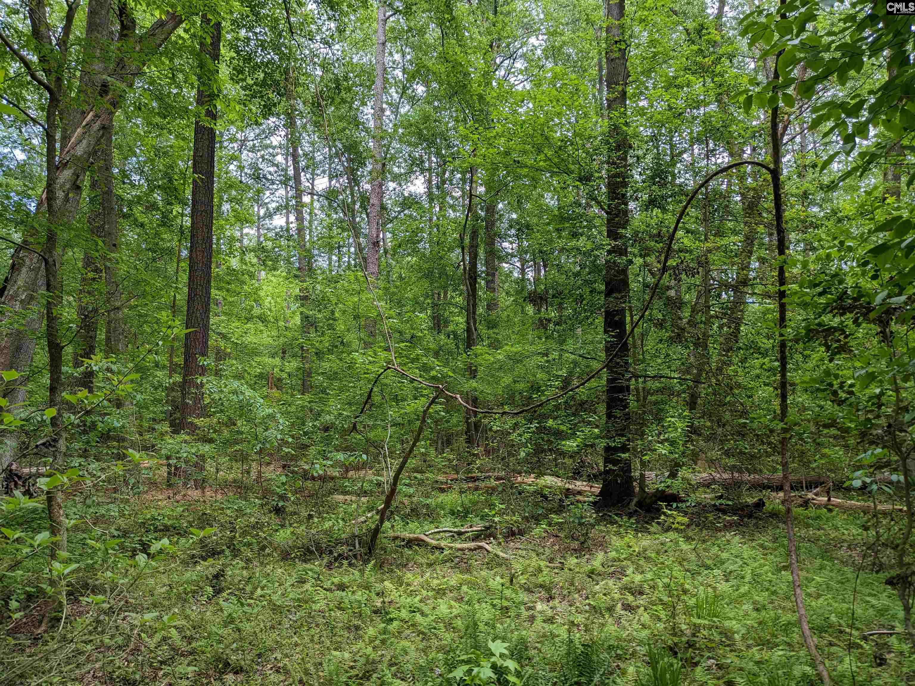 Syrup Mill Road Ridgeway, SC 29130 - Photo 15 of 33