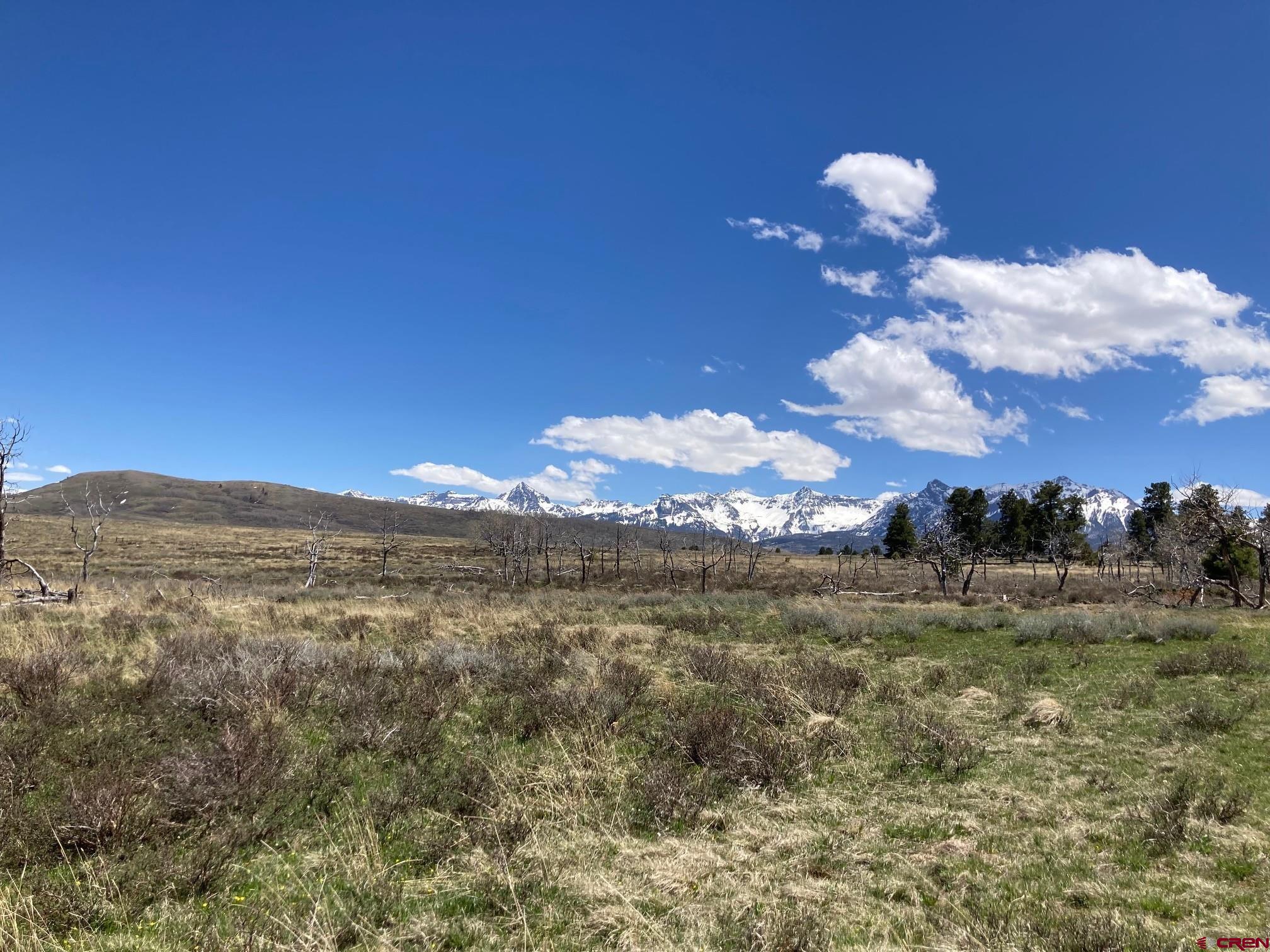 Lot 14 62x Road Placerville, CO 81430 - Photo 7 of 11