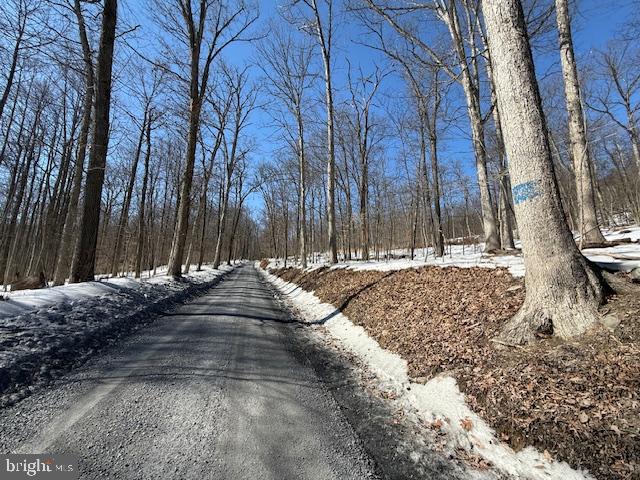 Boonsboro Mt Road Myersville, MD 21773 - Photo 2 of 10 County Road w/vast majority of property on right