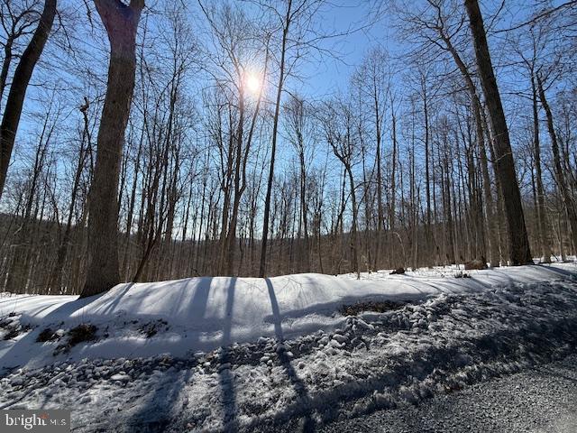 Boonsboro Mt Road Myersville, MD 21773 - Photo 4 of 10