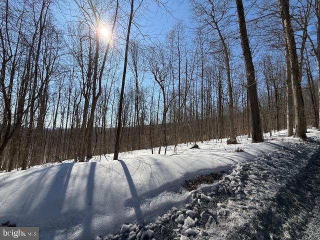 Boonsboro Mt Road Myersville, MD 21773 - Photo 5 of 10