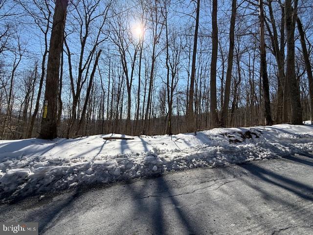 Boonsboro Mt Road Myersville, MD 21773 - Photo 6 of 10