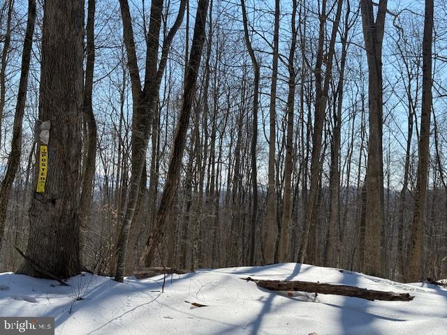 Boonsboro Mt Road Myersville, MD 21773 - Photo 7 of 10