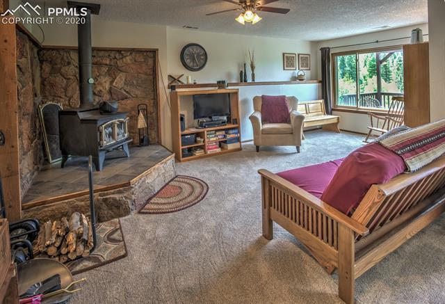 258 Spruce Creek Road Divide, CO 80814 - Photo 14 of 34 Gallery Image 14