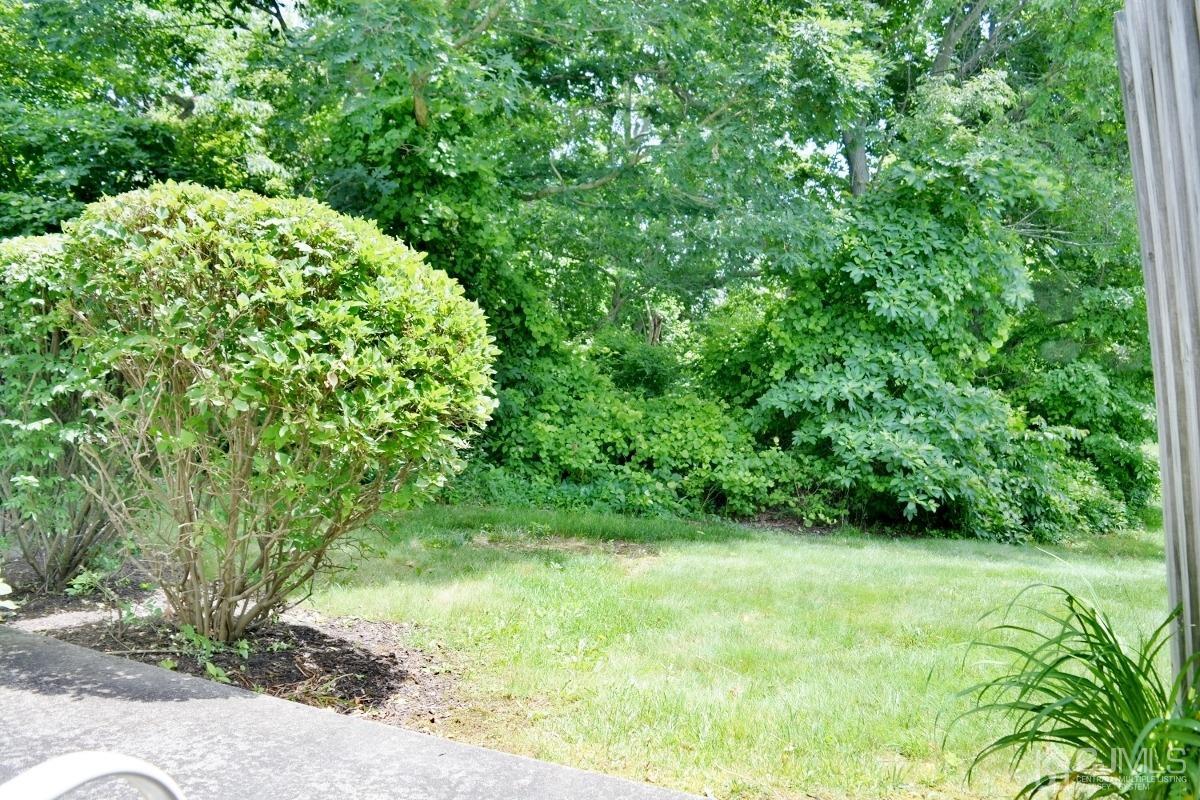 171 Concordia Circle, Unit C Monroe Township, NJ 08831 - Photo 13 of 13 a view of yard with green space