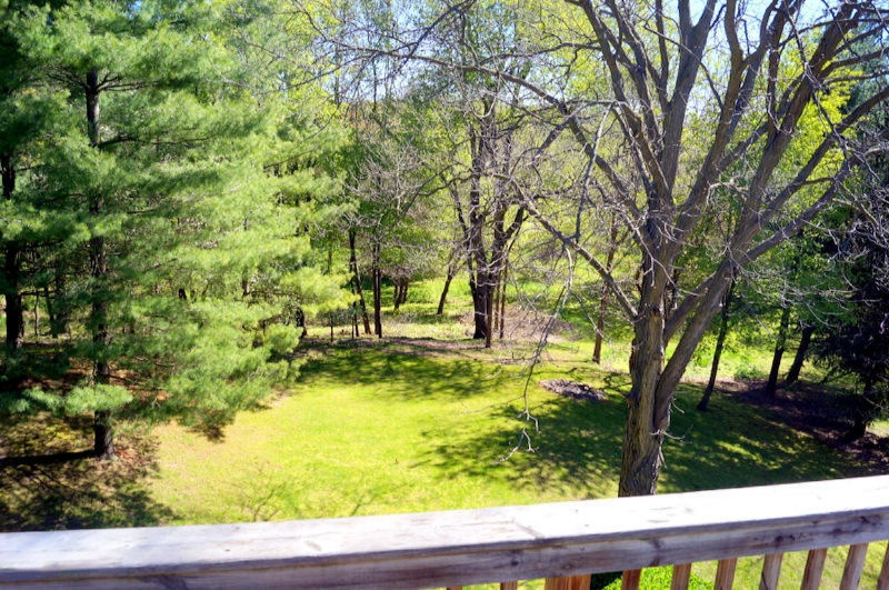 606 Lyons Road Portland, MI 48875 - Photo 23 of 49 DSC06218