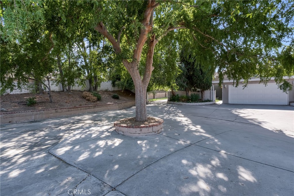 5165 Pearblossom Drive Riverside, CA 92507 - Photo 6 of 75 a view of a tree in the middle of a yard
