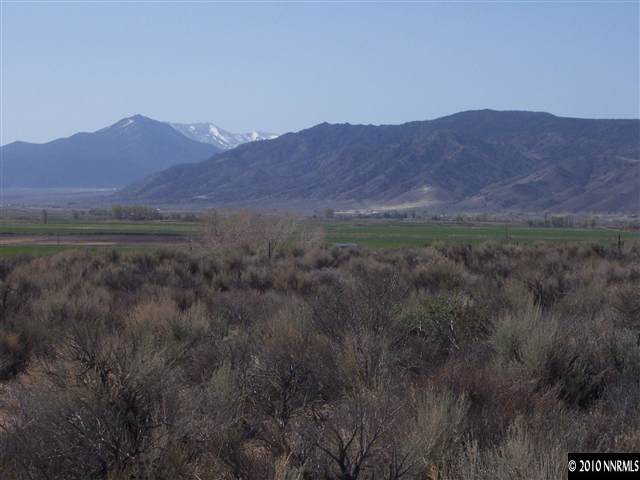 253 Artist View Road, Unit 3 Wellington, NV 89444 - Photo 1 of 1 Photo 1
