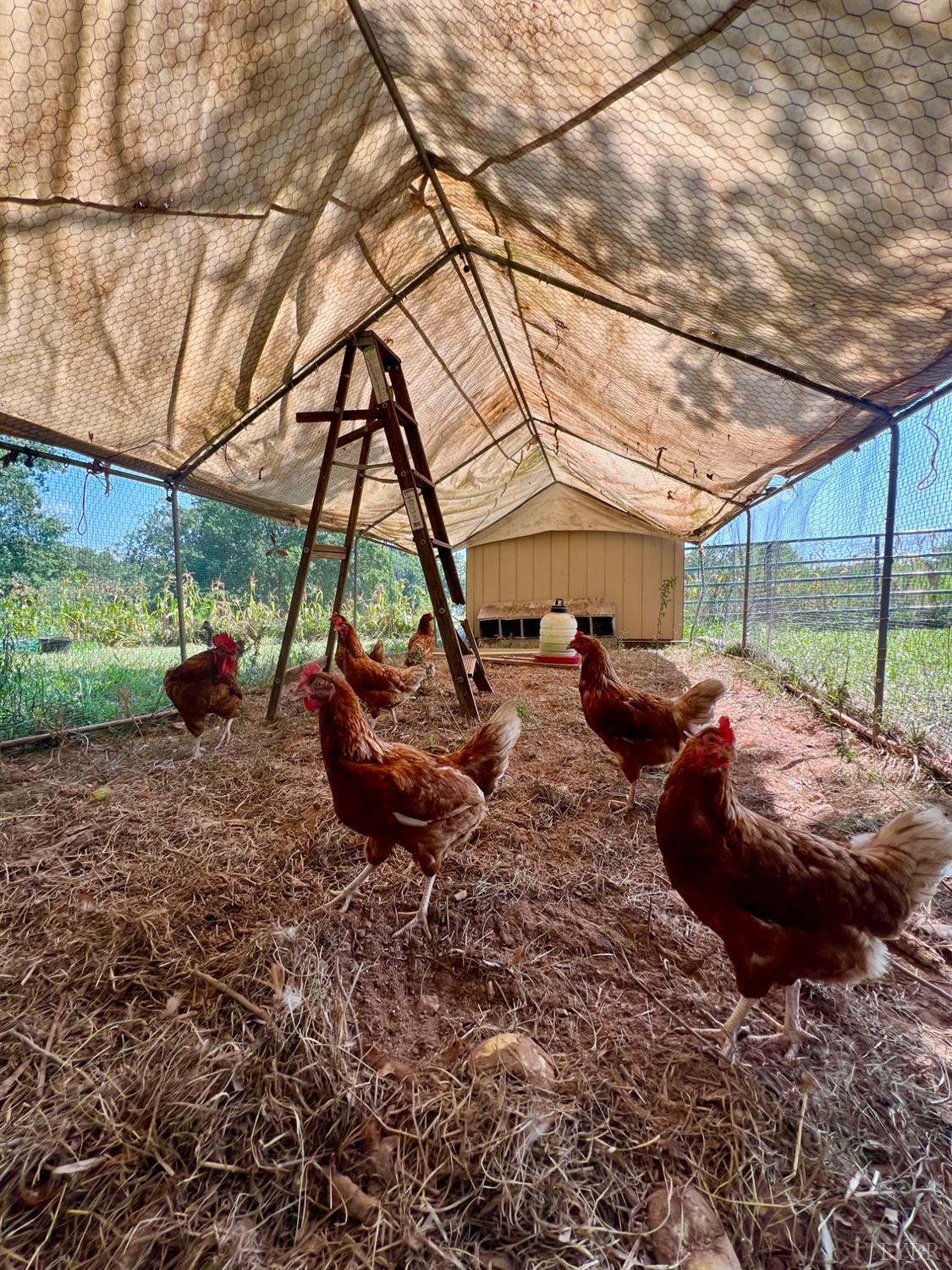 4526 Pigeon Run Road Gladys, VA 24554 - Photo 35 of 54 a view of outdoor space with furniture and garden