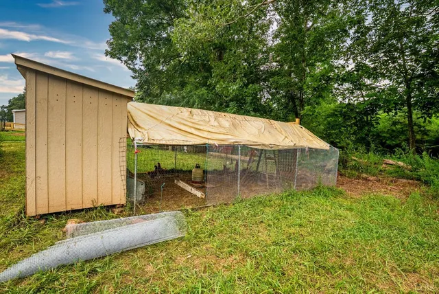 a big yard with lots of green space and deers