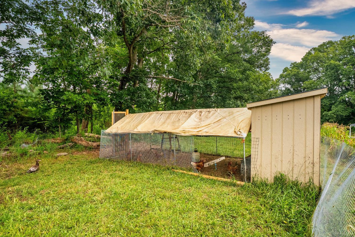 4526 Pigeon Run Road Gladys, VA 24554 - Photo 37 of 54 a backyard of a house with lots of green space