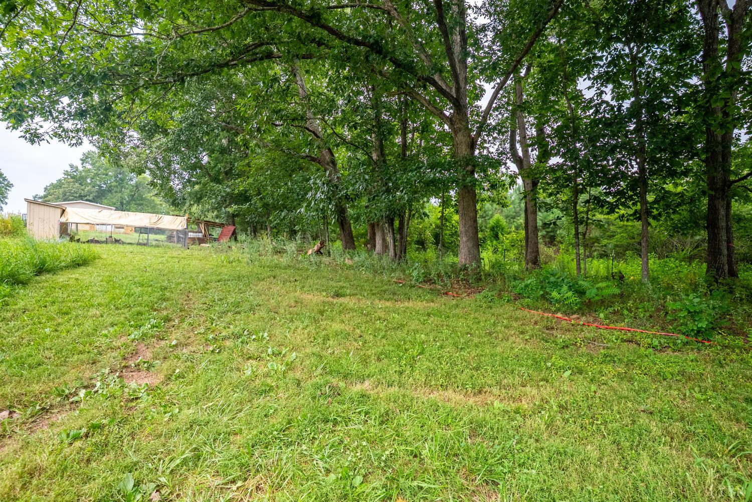 4526 Pigeon Run Road Gladys, VA 24554 - Photo 38 of 54 a big yard with lots of green space and deers